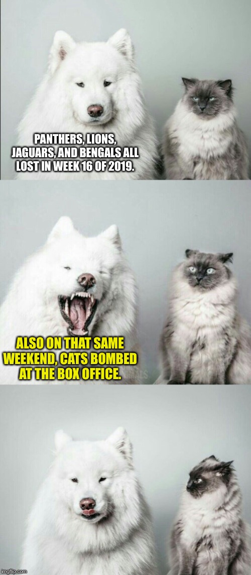 CATS bombed | PANTHERS, LIONS, JAGUARS, AND BENGALS ALL LOST IN WEEK 16 OF 2019. ALSO ON THAT SAME WEEKEND, CATS BOMBED AT THE BOX OFFICE. | image tagged in bad joke dog cat,memes,nfl football,movie,fail,money | made w/ Imgflip meme maker