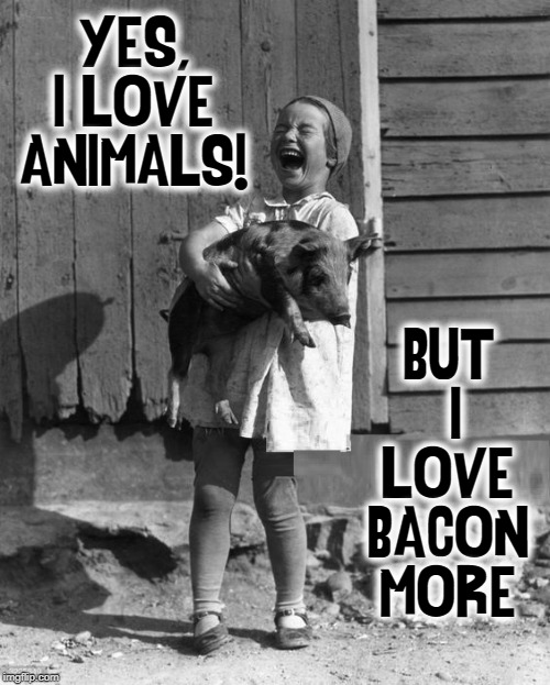 In Defense of We Carnivores | YES, I LOVE ANIMALS! BUT  I LOVE BACON MORE | image tagged in vince vance,pigs,bacon,pets,vegans,meat lovers | made w/ Imgflip meme maker