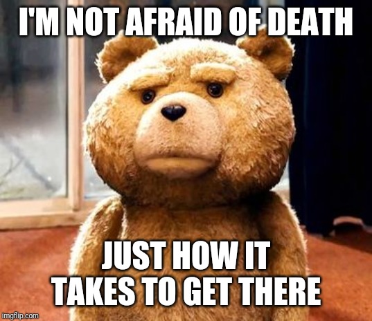 Notvafridbofbdeath | I'M NOT AFRAID OF DEATH; JUST HOW IT TAKES TO GET THERE | image tagged in memes,ted,death | made w/ Imgflip meme maker