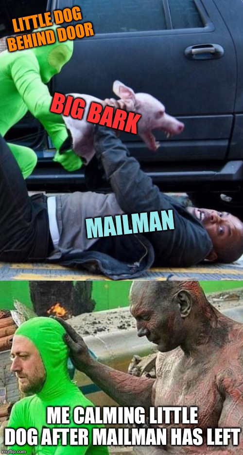 I am Legend- Guardian of the House | LITTLE DOG BEHIND DOOR; BIG BARK; MAILMAN; ME CALMING LITTLE DOG AFTER MAILMAN HAS LEFT | image tagged in movie,magic,dog,mailman,will smith,guardians of the galaxy | made w/ Imgflip meme maker