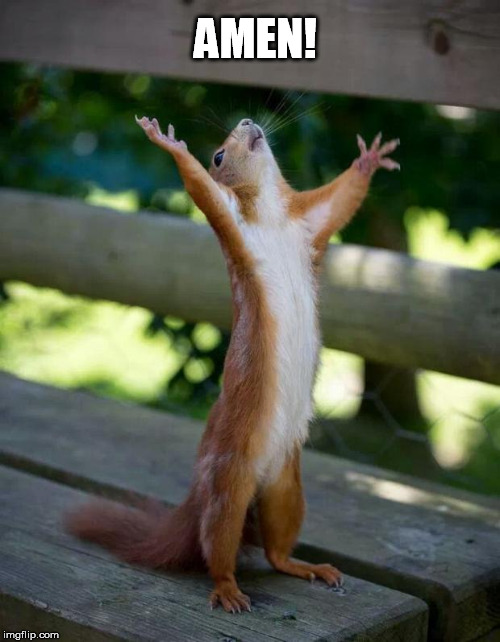Happy Squirrel | AMEN! | image tagged in happy squirrel | made w/ Imgflip meme maker