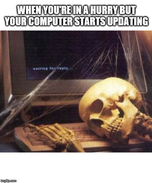 You decide to do this right now | WHEN YOU'RE IN A HURRY BUT YOUR COMPUTER STARTS UPDATING | image tagged in skeleton computer,hurry,computer,update | made w/ Imgflip meme maker
