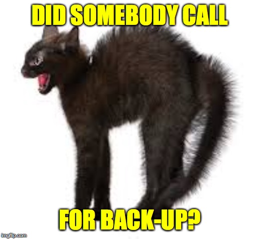 Black is the new black'n'white  ( : | DID SOMEBODY CALL FOR BACK-UP? | image tagged in memes,cats,back-up | made w/ Imgflip meme maker