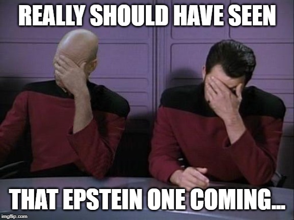 Double Facepalm | REALLY SHOULD HAVE SEEN; THAT EPSTEIN ONE COMING... | image tagged in double facepalm | made w/ Imgflip meme maker