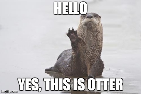 HELLO YES, THIS IS OTTER | made w/ Imgflip meme maker
