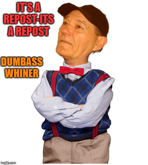 IT'S A REPOST-ITS A REPOST; DUMBASS WHINER | image tagged in kewlew-walter | made w/ Imgflip meme maker