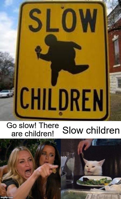 slow child | Go slow! There are children! Slow children | image tagged in memes,woman yelling at cat,funny,slow,children,stupid signs | made w/ Imgflip meme maker