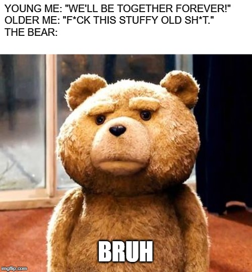 TED | YOUNG ME: "WE'LL BE TOGETHER FOREVER!"
OLDER ME: "F*CK THIS STUFFY OLD SH*T."
THE BEAR:; BRUH | image tagged in memes,ted | made w/ Imgflip meme maker