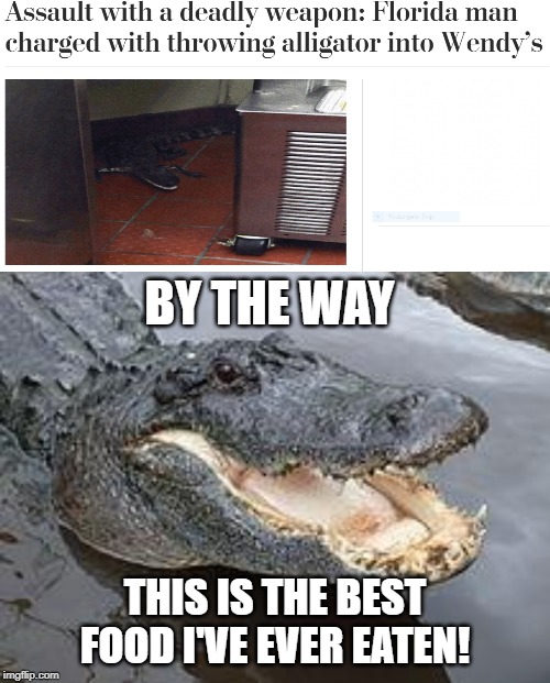 Alligator is deadly | BY THE WAY; THIS IS THE BEST FOOD I'VE EVER EATEN! | image tagged in alligator wut,food,wendy's,funny,memes,florida man | made w/ Imgflip meme maker