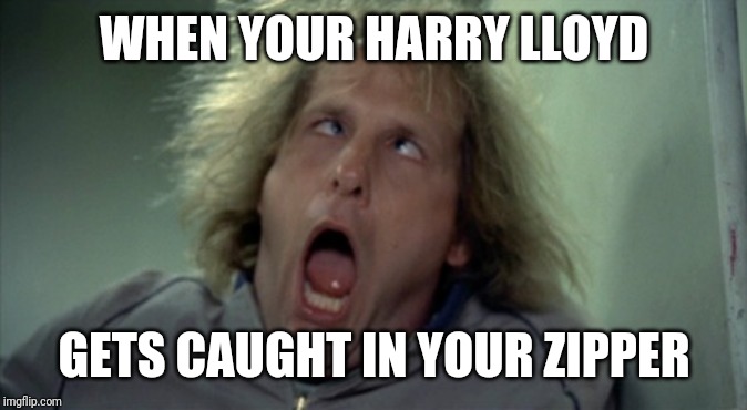 Scary Harry | WHEN YOUR HARRY LLOYD; GETS CAUGHT IN YOUR ZIPPER | image tagged in memes,scary harry | made w/ Imgflip meme maker