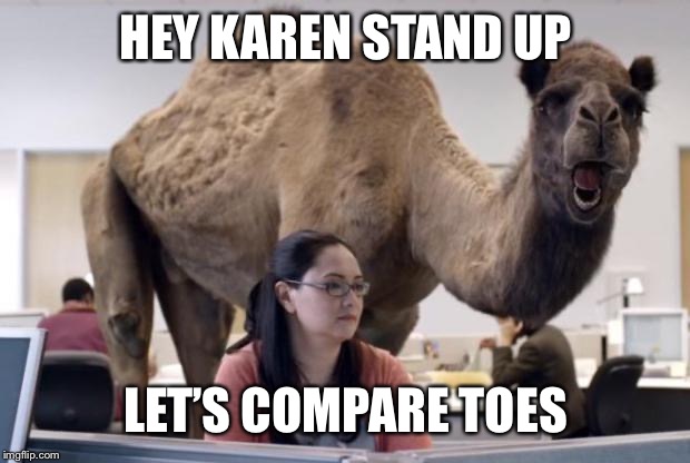Camel | HEY KAREN STAND UP; LET’S COMPARE TOES | image tagged in camel | made w/ Imgflip meme maker