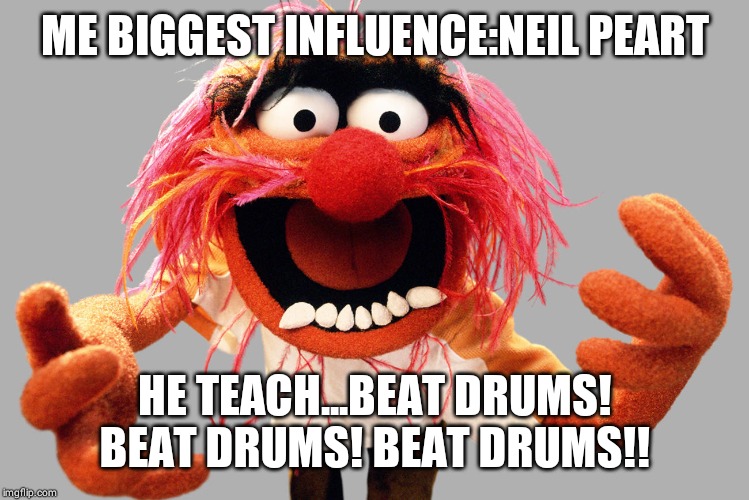 animal muppets | ME BIGGEST INFLUENCE:NEIL PEART; HE TEACH...BEAT DRUMS! BEAT DRUMS! BEAT DRUMS!! | image tagged in animal muppets | made w/ Imgflip meme maker