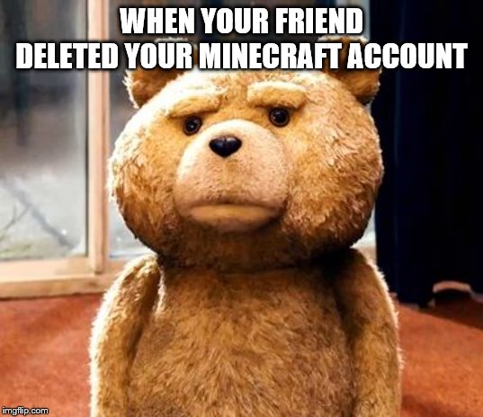 TED | WHEN YOUR FRIEND DELETED YOUR MINECRAFT ACCOUNT | image tagged in memes,ted | made w/ Imgflip meme maker