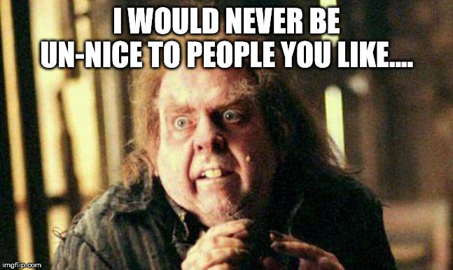 Peter Pettigrew In Fear | I WOULD NEVER BE UN-NICE TO PEOPLE YOU LIKE.... | image tagged in peter pettigrew in fear | made w/ Imgflip meme maker