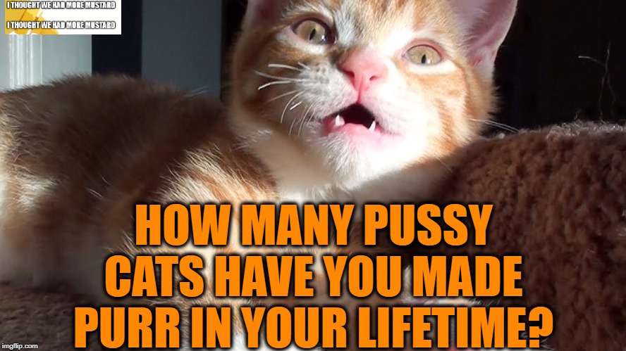 Pussy Census Imgflip