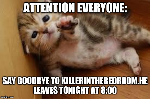 Sad Kitten Goodbye | ATTENTION EVERYONE:; SAY GOODBYE TO KILLERINTHEBEDROOM.HE LEAVES TONIGHT AT 8:00 | image tagged in sad kitten goodbye | made w/ Imgflip meme maker