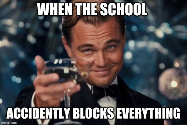 Leonardo Dicaprio Cheers | WHEN THE SCHOOL; ACCIDENTLY BLOCKS EVERYTHING | image tagged in memes,leonardo dicaprio cheers | made w/ Imgflip meme maker
