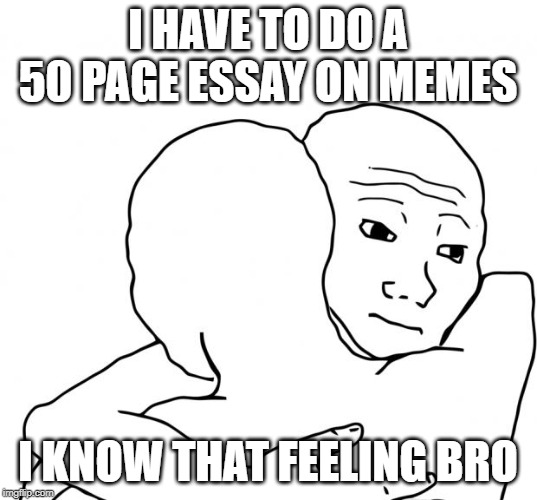 I Know That Feel Bro | I HAVE TO DO A 50 PAGE ESSAY ON MEMES; I KNOW THAT FEELING BRO | image tagged in memes,i know that feel bro | made w/ Imgflip meme maker