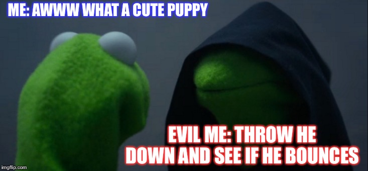 Evil Kermit | ME: AWWW WHAT A CUTE PUPPY; EVIL ME: THROW HE DOWN AND SEE IF HE BOUNCES | image tagged in memes,evil kermit | made w/ Imgflip meme maker