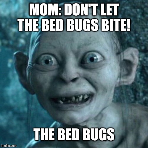 Gollum Meme | MOM: DON'T LET THE BED BUGS BITE! THE BED BUGS | image tagged in memes,gollum | made w/ Imgflip meme maker