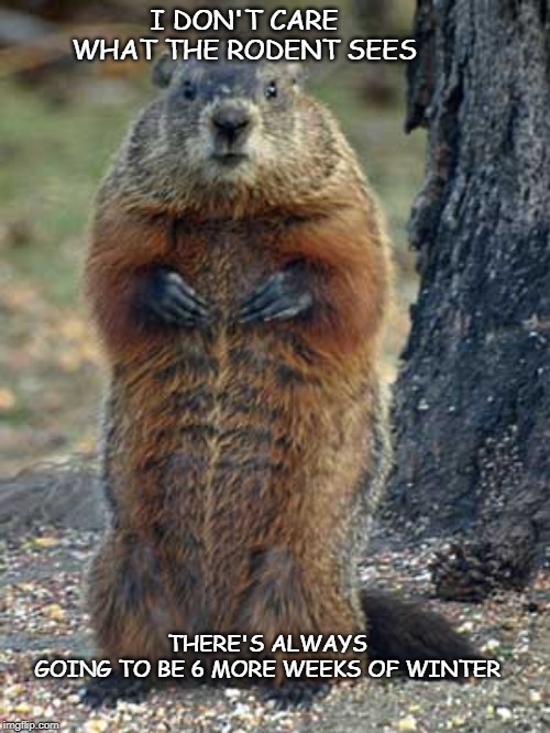 moememes | I DON'T CARE WHAT THE RODENT SEES; THERE'S ALWAYS GOING TO BE 6 MORE WEEKS OF WINTER | image tagged in groundhog day,groundhog,february 2,spring,winter,shadow | made w/ Imgflip meme maker