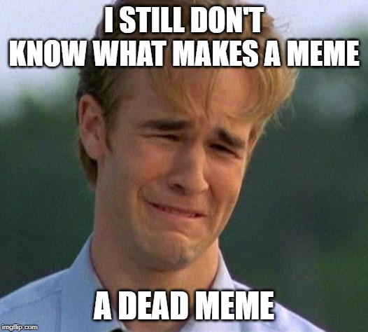 What's the difference | I STILL DON'T KNOW WHAT MAKES A MEME; A DEAD MEME | image tagged in memes,1990s first world problems | made w/ Imgflip meme maker