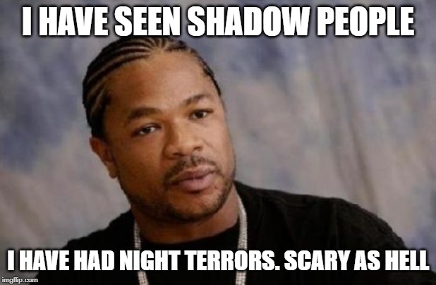 Serious Xzibit | I HAVE SEEN SHADOW PEOPLE; I HAVE HAD NIGHT TERRORS. SCARY AS HELL | image tagged in memes,serious xzibit | made w/ Imgflip meme maker