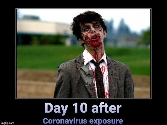 Coronapocalypse | image tagged in coronavirus,corona,disease,zombie,flu | made w/ Imgflip meme maker