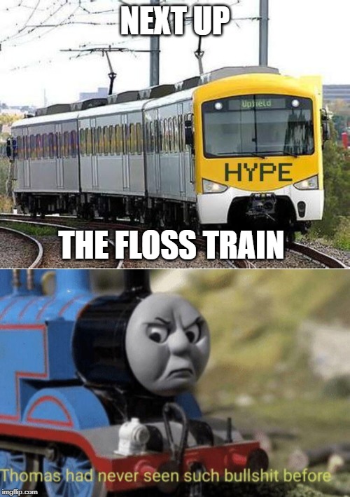 NEXT UP; THE FLOSS TRAIN | image tagged in hype train,thomas had never seen such bullshit before | made w/ Imgflip meme maker