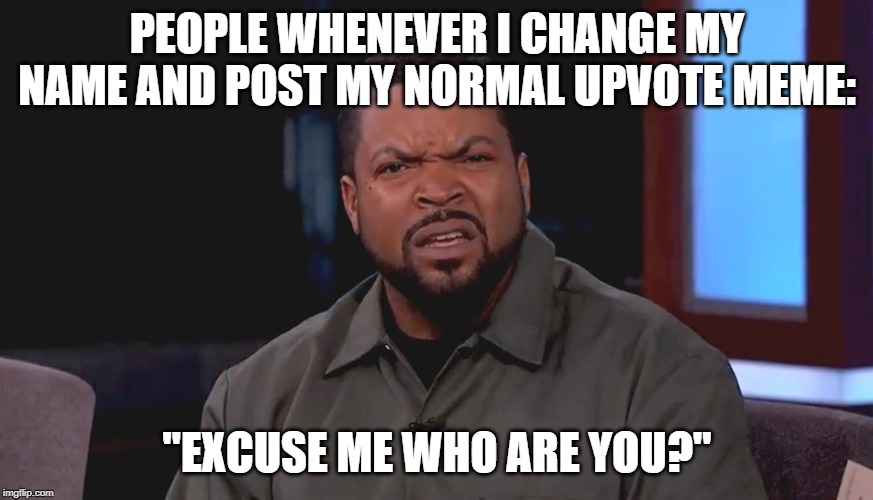 Really? Ice Cube | PEOPLE WHENEVER I CHANGE MY NAME AND POST MY NORMAL UPVOTE MEME:; "EXCUSE ME WHO ARE YOU?" | image tagged in really ice cube | made w/ Imgflip meme maker