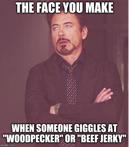 Beavis and Butt-Head, eat your hearts out! | THE FACE YOU MAKE; WHEN SOMEONE GIGGLES AT "WOODPECKER" OR "BEEF JERKY" | image tagged in memes,face you make robert downey jr,dirty mind,innuendo,words | made w/ Imgflip meme maker