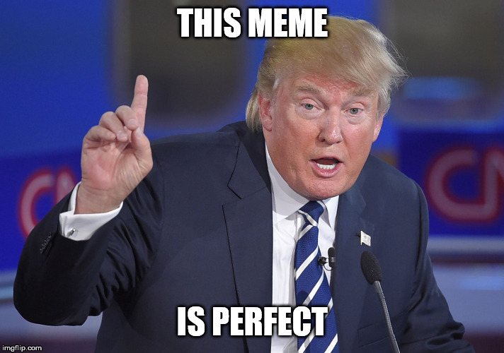 Trump pointing up | THIS MEME IS PERFECT | image tagged in trump pointing up | made w/ Imgflip meme maker
