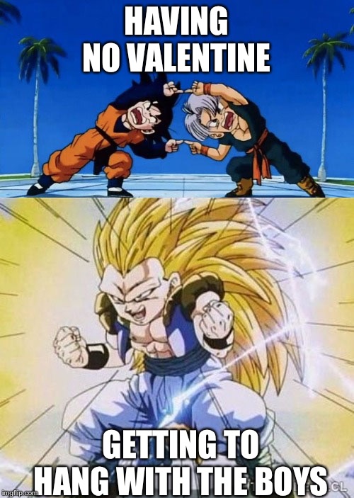 DBZ FUSION | HAVING NO VALENTINE; GETTING TO HANG WITH THE BOYS | image tagged in dbz fusion | made w/ Imgflip meme maker