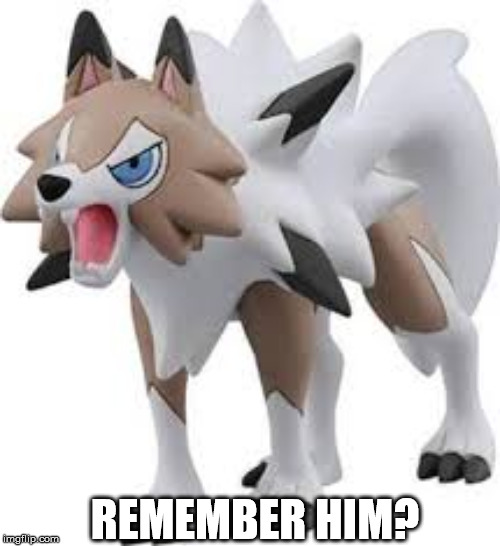LCANROC | REMEMBER HIM? | image tagged in lcanroc | made w/ Imgflip meme maker