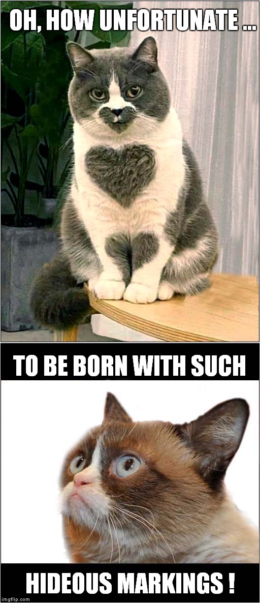 Grumpy Is All Heart | OH, HOW UNFORTUNATE ... TO BE BORN WITH SUCH; HIDEOUS MARKINGS ! | image tagged in fun,grumpy cat,fur markings,cats | made w/ Imgflip meme maker
