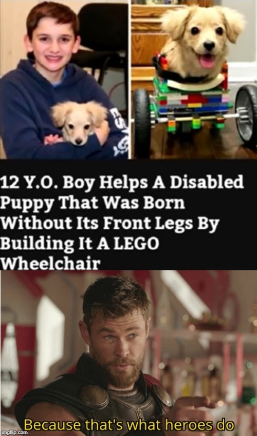 And they say you have issues if you play with LEGO's after a certain age. | image tagged in thats what heroes do,wheelchair,puppy,dogs,12,hero | made w/ Imgflip meme maker