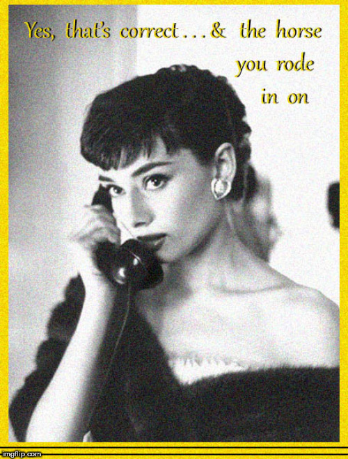 Audrey .....boom b1tches | image tagged in audrey hepburn,and the horse you rode in on,lol,babes,funny memes,fu | made w/ Imgflip meme maker