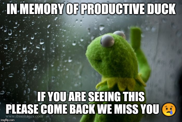 kermit window | IN MEMORY OF PRODUCTIVE DUCK; IF YOU ARE SEEING THIS PLEASE COME BACK WE MISS YOU 😢 | image tagged in kermit window | made w/ Imgflip meme maker