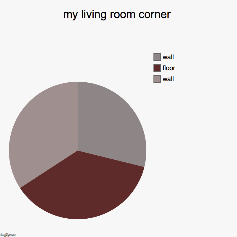 my living room corner | wall, floor, wall | image tagged in charts,pie charts | made w/ Imgflip chart maker