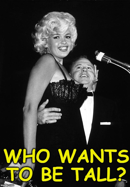 As Mickey said to Jayne, "who wants to be tall?" | WHO WANTS TO BE TALL? | image tagged in jayne mansfield  mickey rooney 1960,tall,blonde,short,guys | made w/ Imgflip meme maker