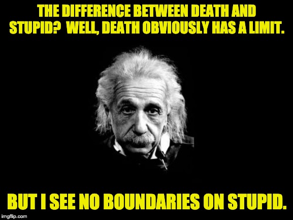 Albert Einstein 1 | THE DIFFERENCE BETWEEN DEATH AND STUPID?  WELL, DEATH OBVIOUSLY HAS A LIMIT. BUT I SEE NO BOUNDARIES ON STUPID. | image tagged in memes,albert einstein 1 | made w/ Imgflip meme maker
