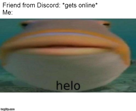 Do you relate? | Friend from Discord: *gets online*
Me: | image tagged in helo,fish,phish,discord,friend,online | made w/ Imgflip meme maker