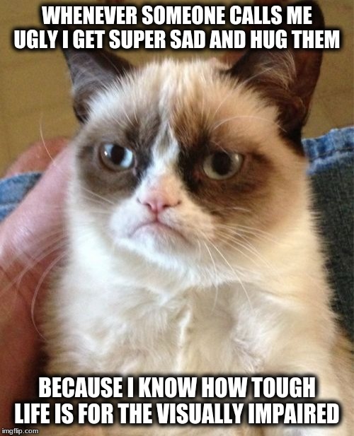 Grumpy Cat | WHENEVER SOMEONE CALLS ME UGLY I GET SUPER SAD AND HUG THEM; BECAUSE I KNOW HOW TOUGH LIFE IS FOR THE VISUALLY IMPAIRED | image tagged in memes,grumpy cat | made w/ Imgflip meme maker