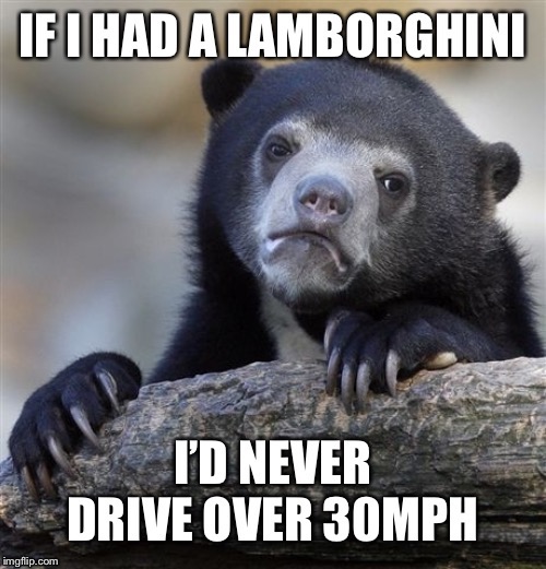image tagged in confession bear,lambo | made w/ Imgflip meme maker