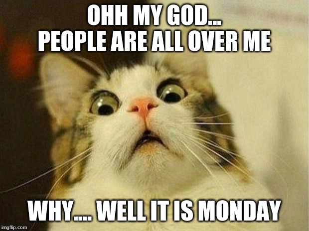 Scared Cat | OHH MY GOD... PEOPLE ARE ALL OVER ME; WHY.... WELL IT IS MONDAY | image tagged in memes,scared cat | made w/ Imgflip meme maker