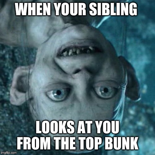 Gollum Meme | WHEN YOUR SIBLING; LOOKS AT YOU FROM THE TOP BUNK | image tagged in memes,gollum | made w/ Imgflip meme maker