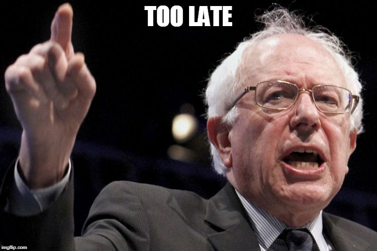 Bernie Sanders | TOO LATE | image tagged in bernie sanders | made w/ Imgflip meme maker