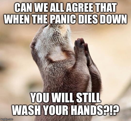 animal praying | CAN WE ALL AGREE THAT WHEN THE PANIC DIES DOWN; YOU WILL STILL WASH YOUR HANDS?!? | image tagged in animal praying | made w/ Imgflip meme maker