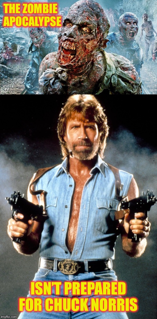 The Walking Norris | THE ZOMBIE APOCALYPSE; ISN’T PREPARED FOR CHUCK NORRIS | image tagged in zombie apocalypse,memes,chuck norris guns,zombies,chuck norris | made w/ Imgflip meme maker