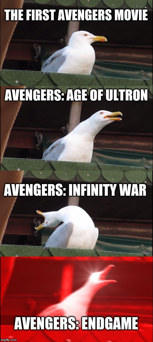 Inhaling Seagull | THE FIRST AVENGERS MOVIE; AVENGERS: AGE OF ULTRON; AVENGERS: INFINITY WAR; AVENGERS: ENDGAME | image tagged in memes,inhaling seagull | made w/ Imgflip meme maker